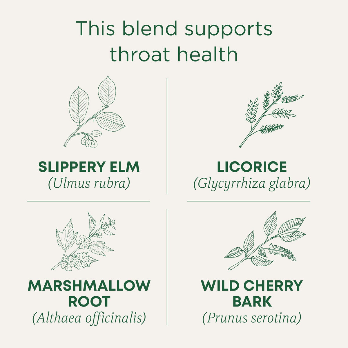Traditional Medicinals Organic Throat Coat Tea - 96 Bags in 6 Pack