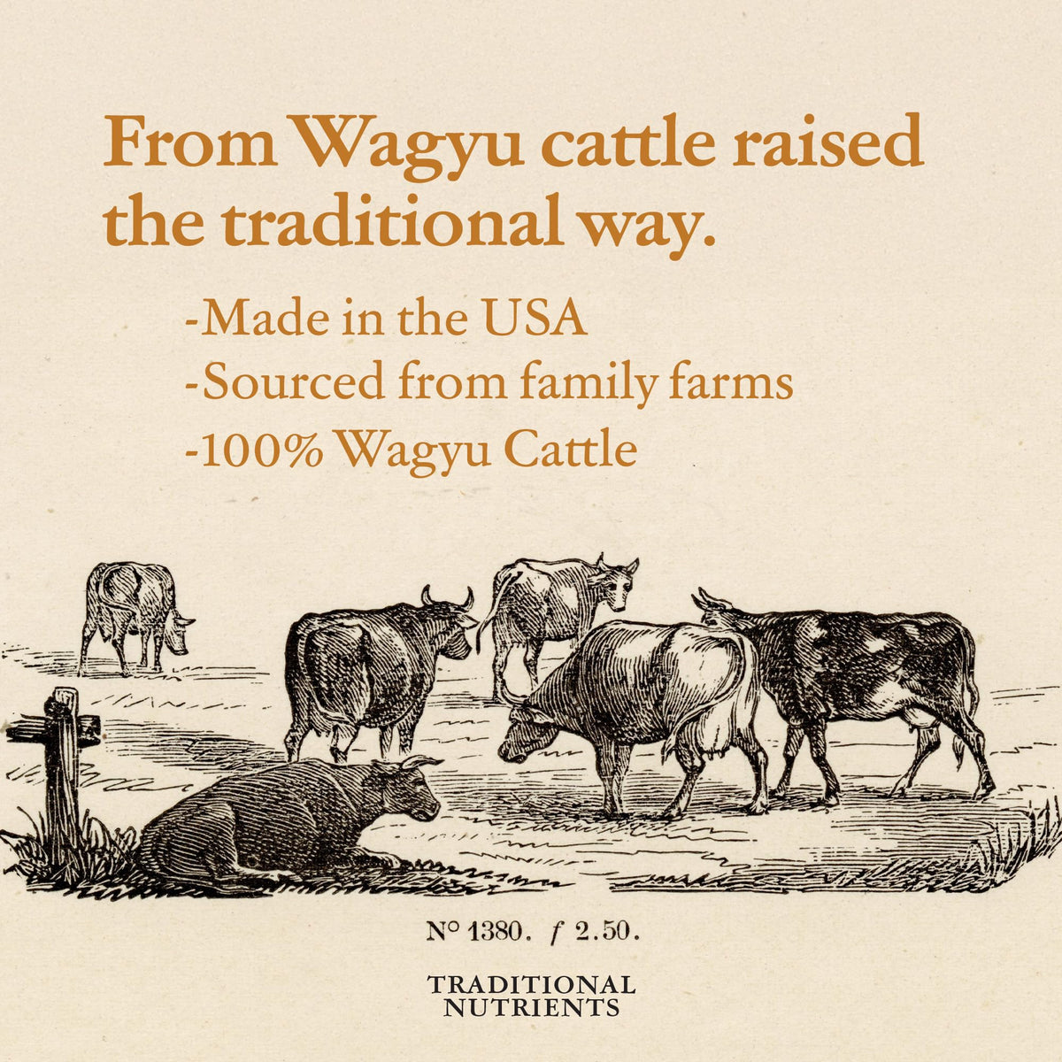 TRADITIONAL NUTRIENTS Wagyu Beef Tallow – 28oz Jar, 100% Pure & Triple-Rendered