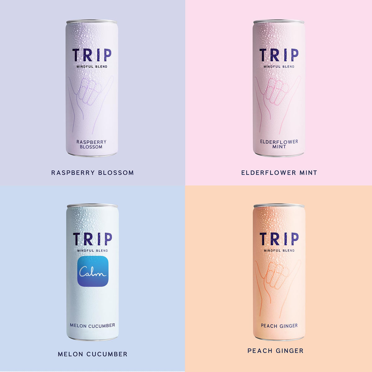 TRIP Lightly Sparkling Adaptogen Seltzer – Non-Alcoholic Mocktail with Magnesium, Ashwagandha, Lion’s Mane & L-Theanine | Original Variety Pack, 12x12oz