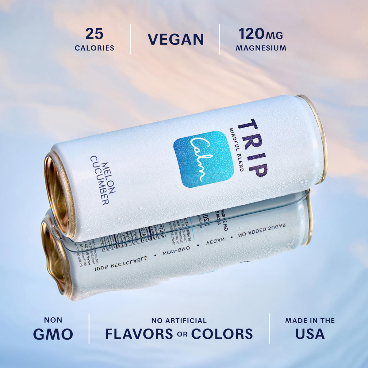 TRIP Lightly Sparkling Adaptogen Seltzer – Non-Alcoholic Mocktail with Magnesium, Ashwagandha, Lion’s Mane & L-Theanine | Original Variety Pack, 12x12oz
