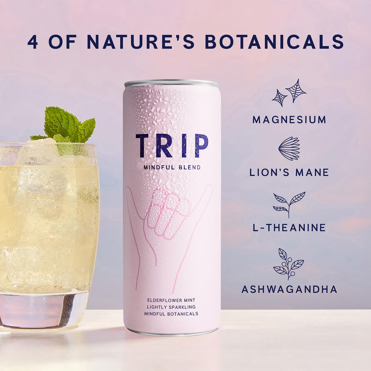 TRIP Lightly Sparkling Adaptogen Seltzer – Non-Alcoholic Mocktail with Magnesium, Ashwagandha, Lion’s Mane & L-Theanine | Original Variety Pack, 12x12oz