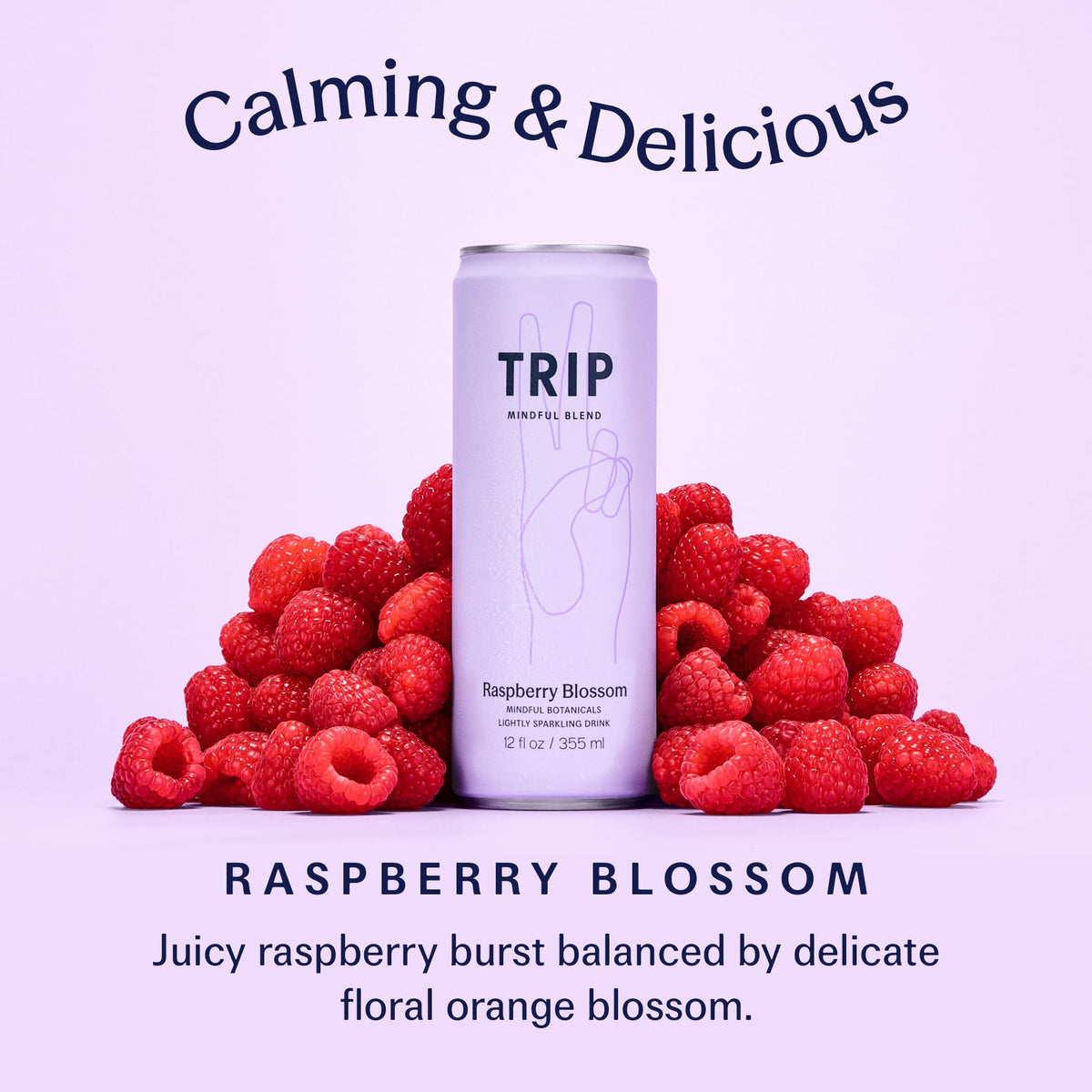 TRIP Lightly Sparkling Adaptogen Drink – Raspberry Blossom, No Added Sugar, Vegan, 12 oz, 12 Pack