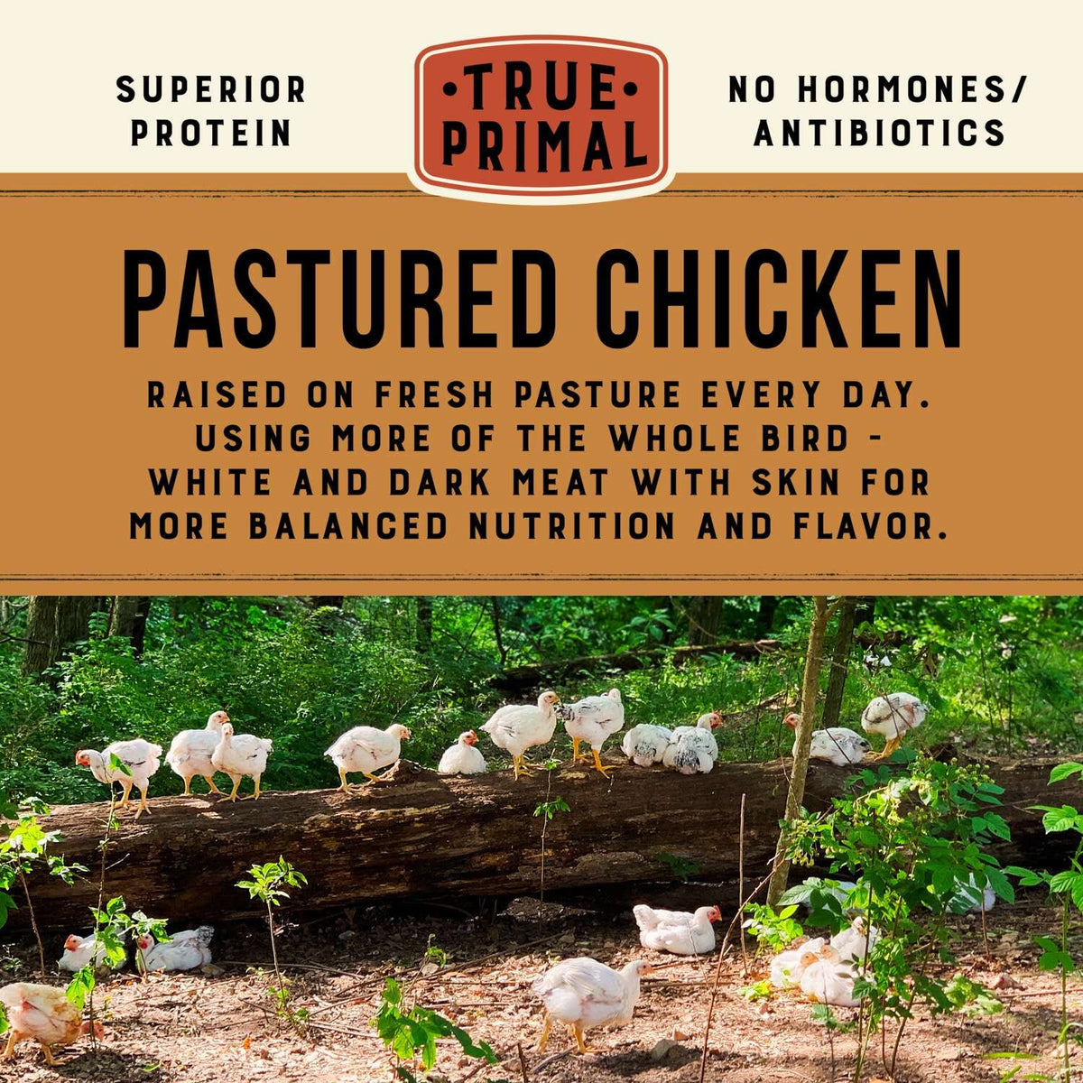 True Primal Roasted Chicken Soup 8-pack | Ready-to-Eat, Gluten Free, Paleo, Whole30, AIP Bone Broth