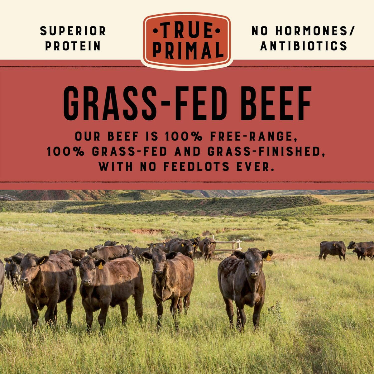 True Primal Beef & Mushroom Organic Soup 8-Pack – Ready to Eat, Gluten Free, Paleo, Whole30, Keto