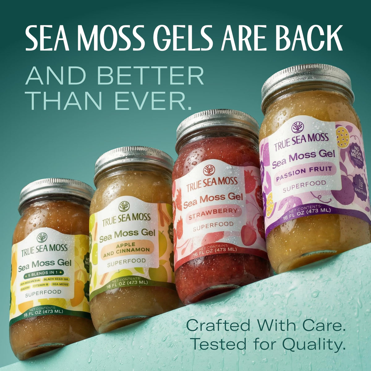 TrueSeaMoss Sea Moss Gel – 5-in-1 Formula, USA Made, Wildcrafted Sea Moss + Ashwagandha