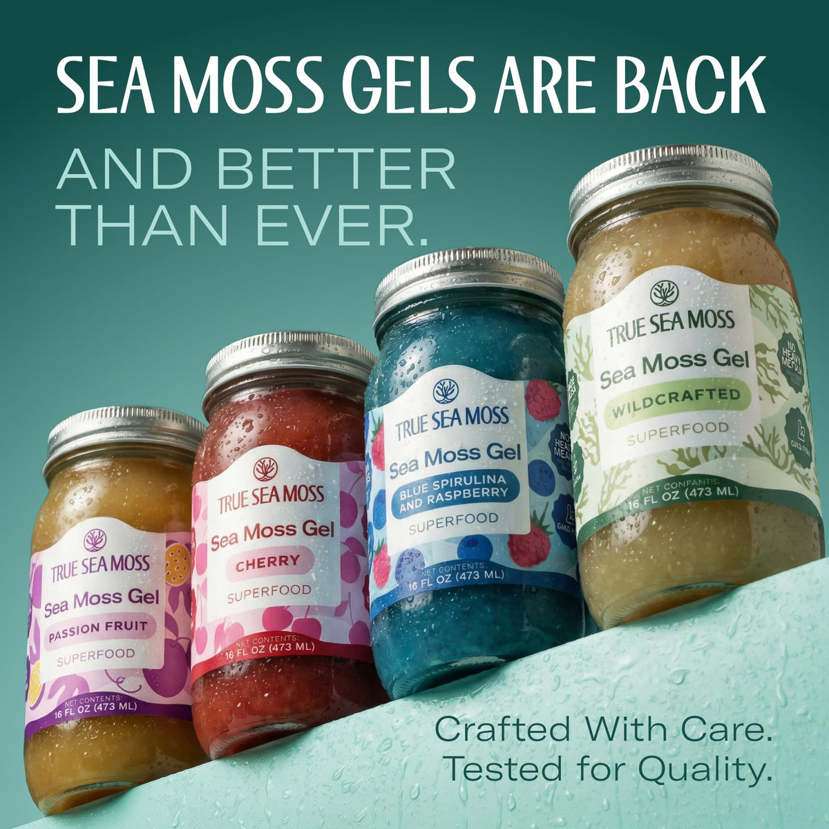TrueSeaMoss Sea Moss Gel – Wildcrafted Seamoss, 16oz Jar, Made in USA