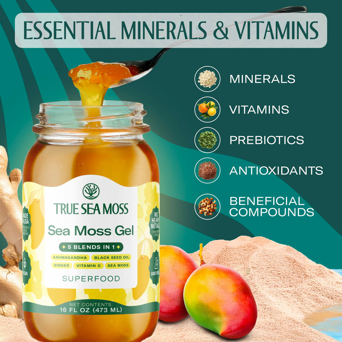 TrueSeaMoss Sea Moss Gel – USA Made 16oz 5-in-1 Formula with Ashwagandha