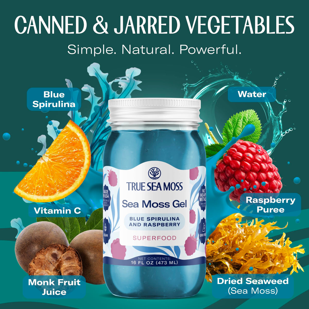 TrueSeaMoss Sea Moss Gel – USA Made, Wildcrafted Seamoss, Blue Spirulina, Pack of 1