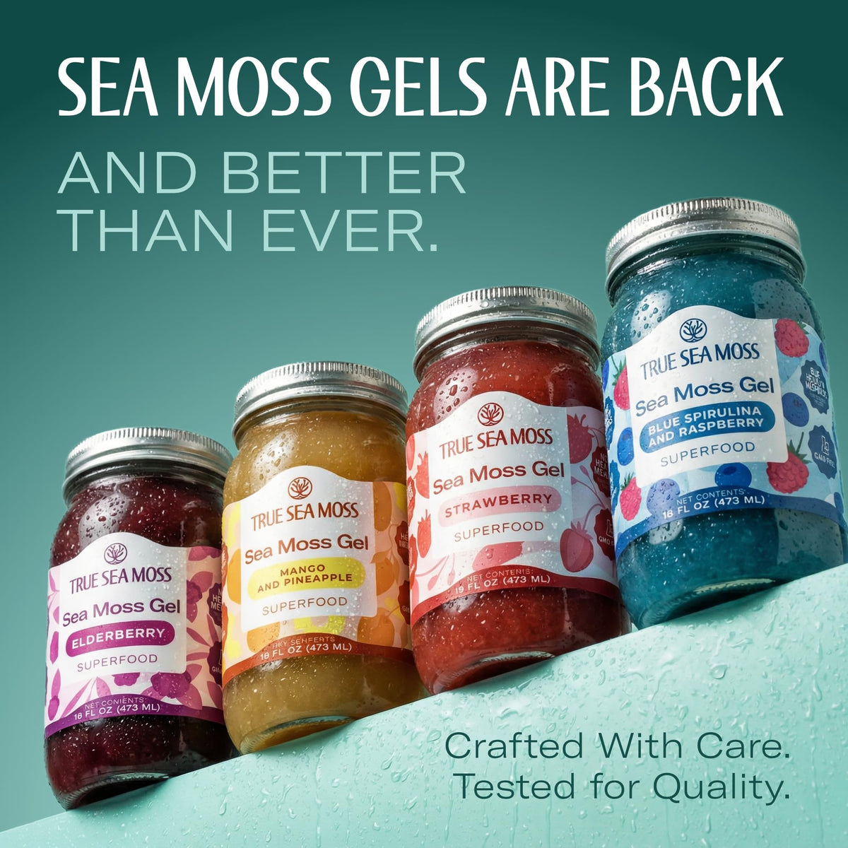 TrueSeaMoss Sea Moss Gel – USA Made, Wildcrafted Seamoss, Blue Spirulina, Pack of 1