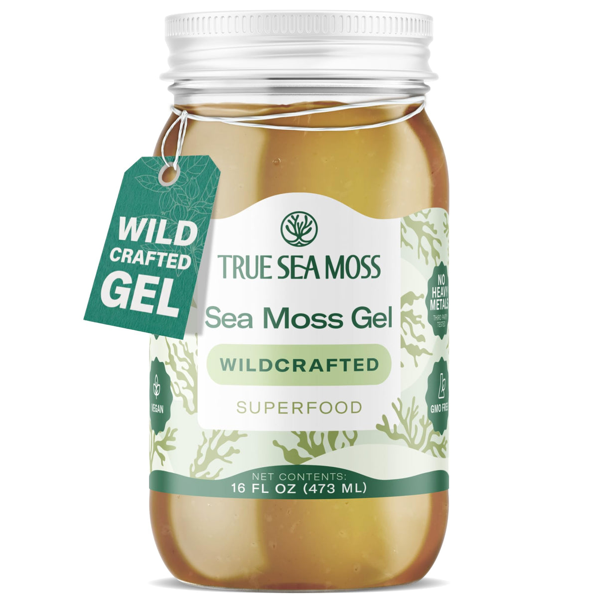 TrueSeaMoss Sea Moss Gel – Wildcrafted Seamoss, 16oz Jar, Made in USA