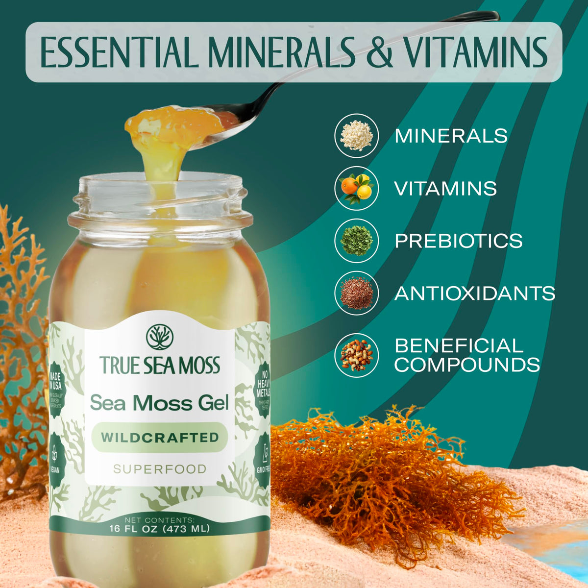 TrueSeaMoss Sea Moss Gel – Wildcrafted Seamoss, 16oz Jar, Made in USA