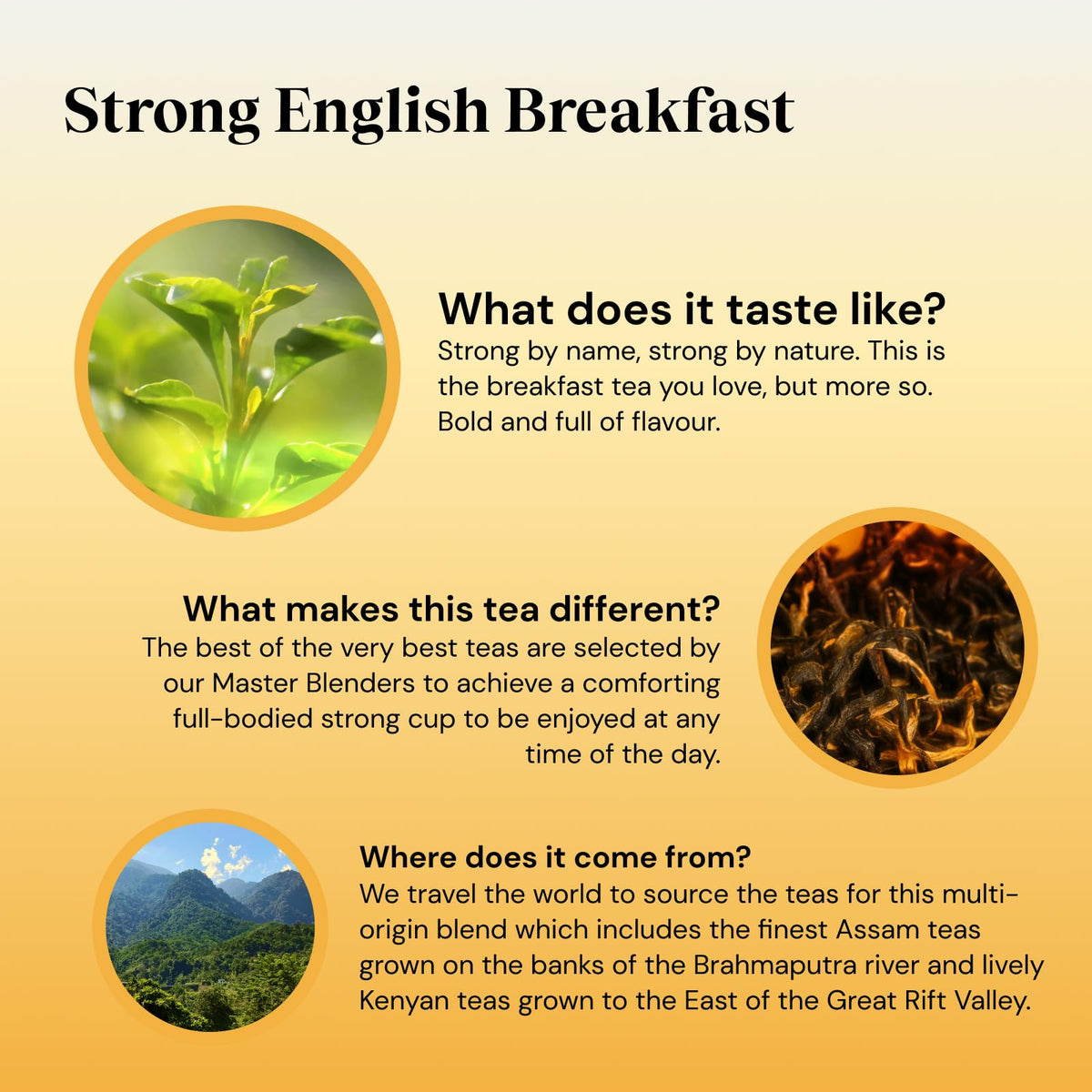 Twinings 1706 Strong Breakfast 80's – Pack of 4 (320 Tea Bags) | Bold Assam & Kenyan Blend