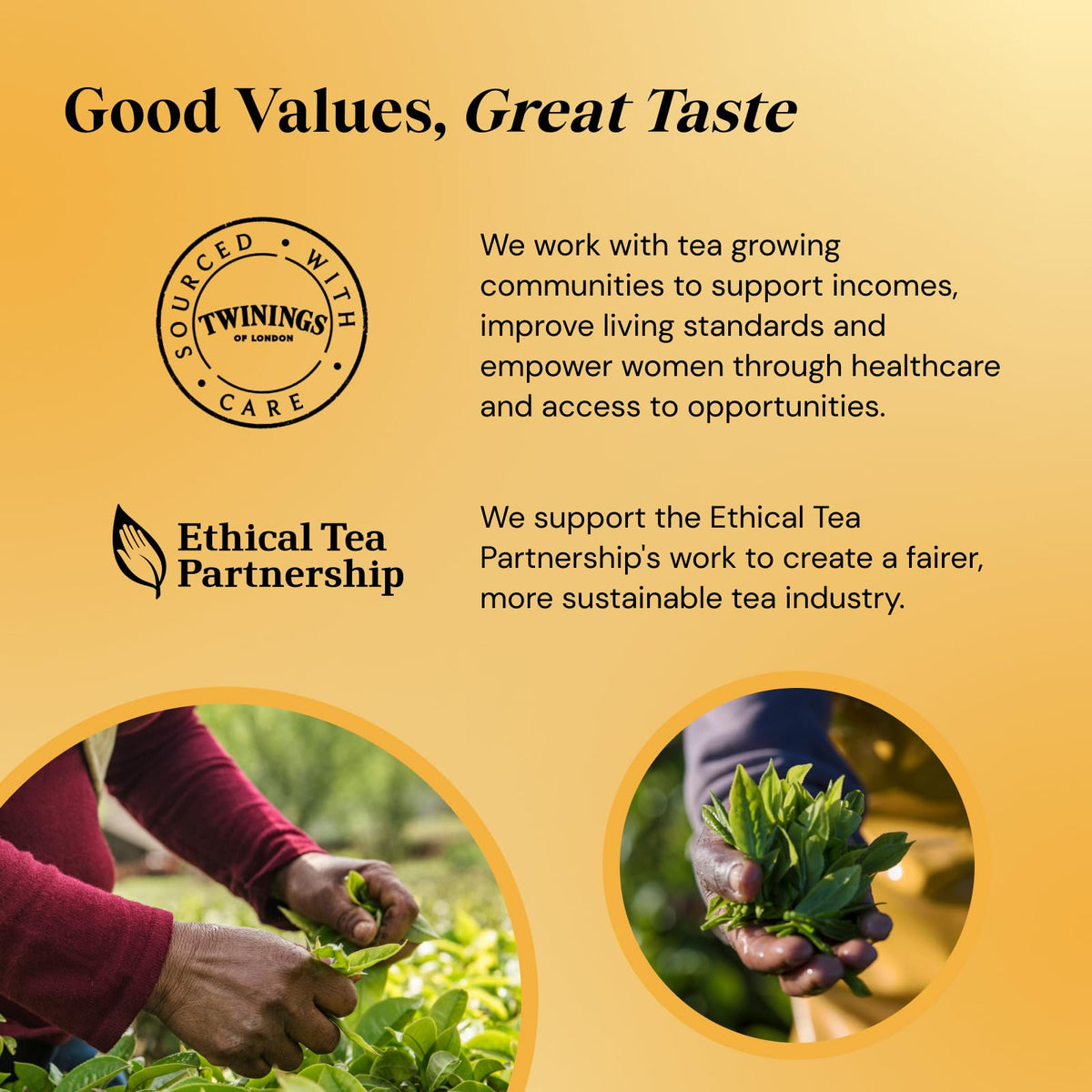 Twinings 1706 Strong Breakfast 80's – Pack of 4 (320 Tea Bags) | Bold Assam & Kenyan Blend