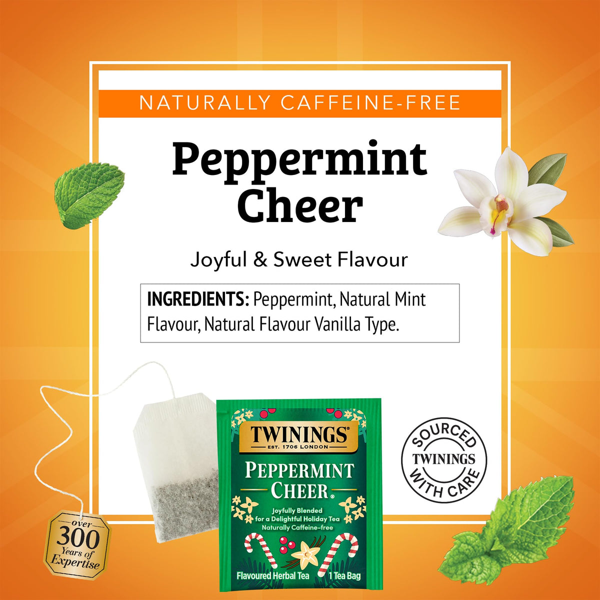 Twinings Peppermint Cheer Herbal Tea – Vanilla Peppermint Infusion, Caffeine-Free, 120 Bags (Pack of 6)