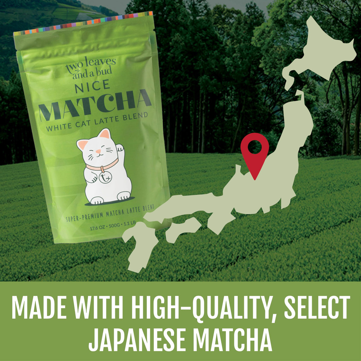 Two Leaves and a Bud Nice Matcha Latte Blend – Japanese Matcha Latte Powder, 1.1 lb (500 g)