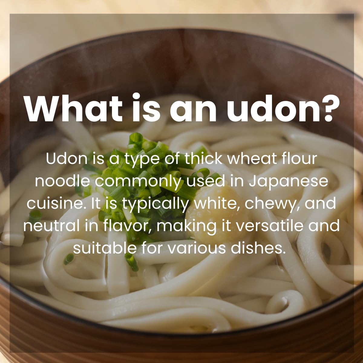 Unha's Japanese Sanuki Fresh Udon Noodles – 3-Pack Jumbo Chewy Noodles (22 oz Total), No Soup Included