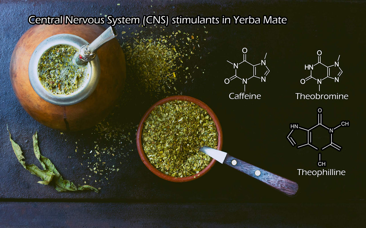 U.S. Wellness Naturals Yerba Mate Tea 1lb – Organic Super-Green, High-Caffeine, Rainforest-Grown