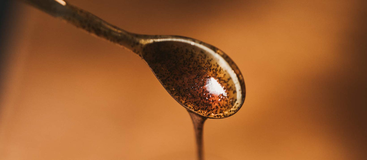 Vanilla Bean Paste for Baking and Cooking - Vanilla Bean Kings Madagascar Bourbon with Real Vanilla Seeds - 8 oz