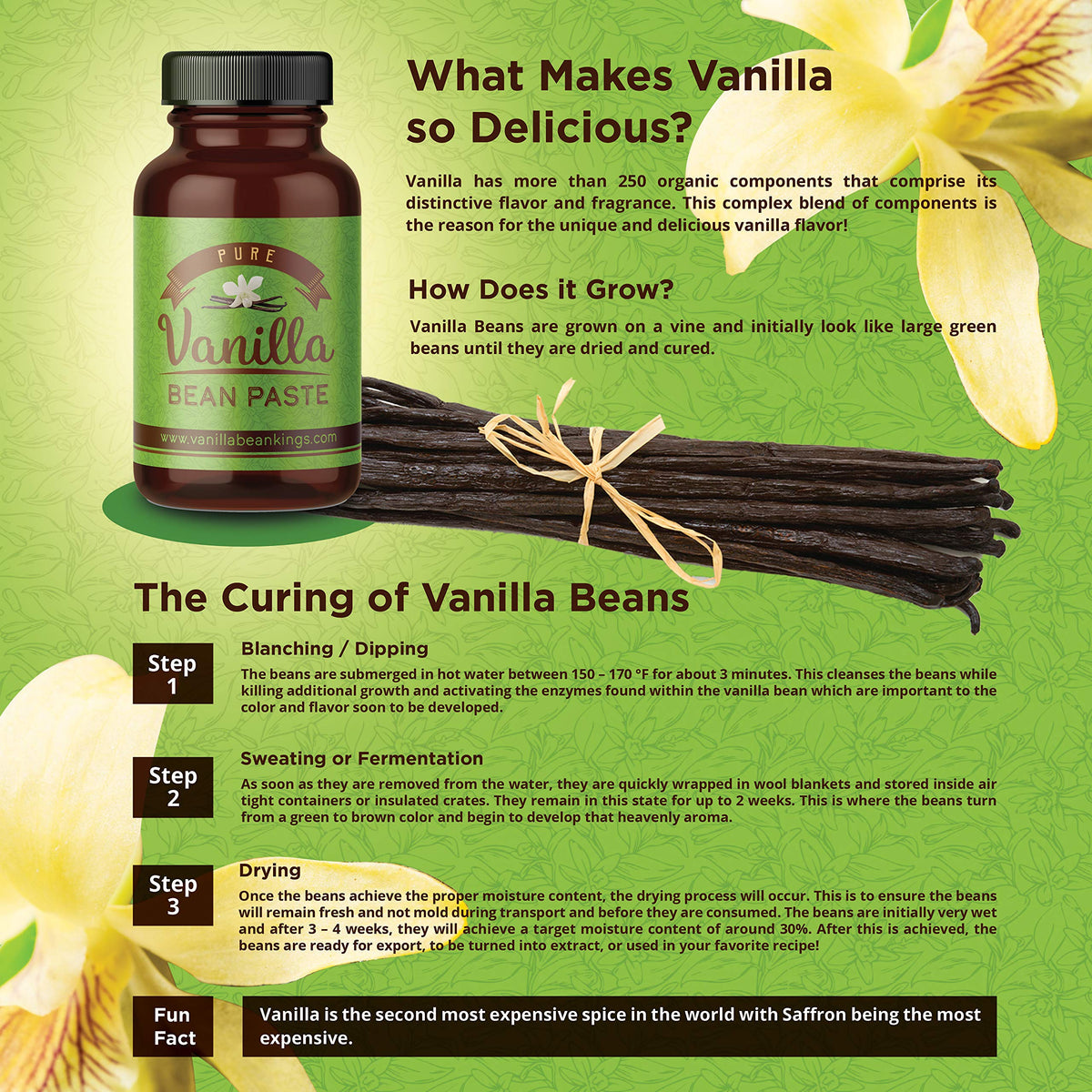Vanilla Bean Paste for Baking and Cooking - Vanilla Bean Kings Madagascar Bourbon with Real Vanilla Seeds - 8 oz