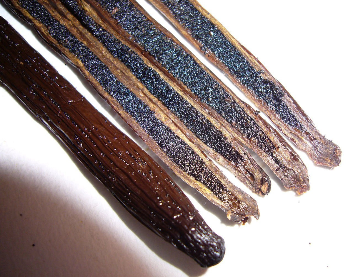 Vanilla Bean Kings | 25 Organic Madagascar Whole Grade A Vanilla Pods for Vanilla Extract & Baking