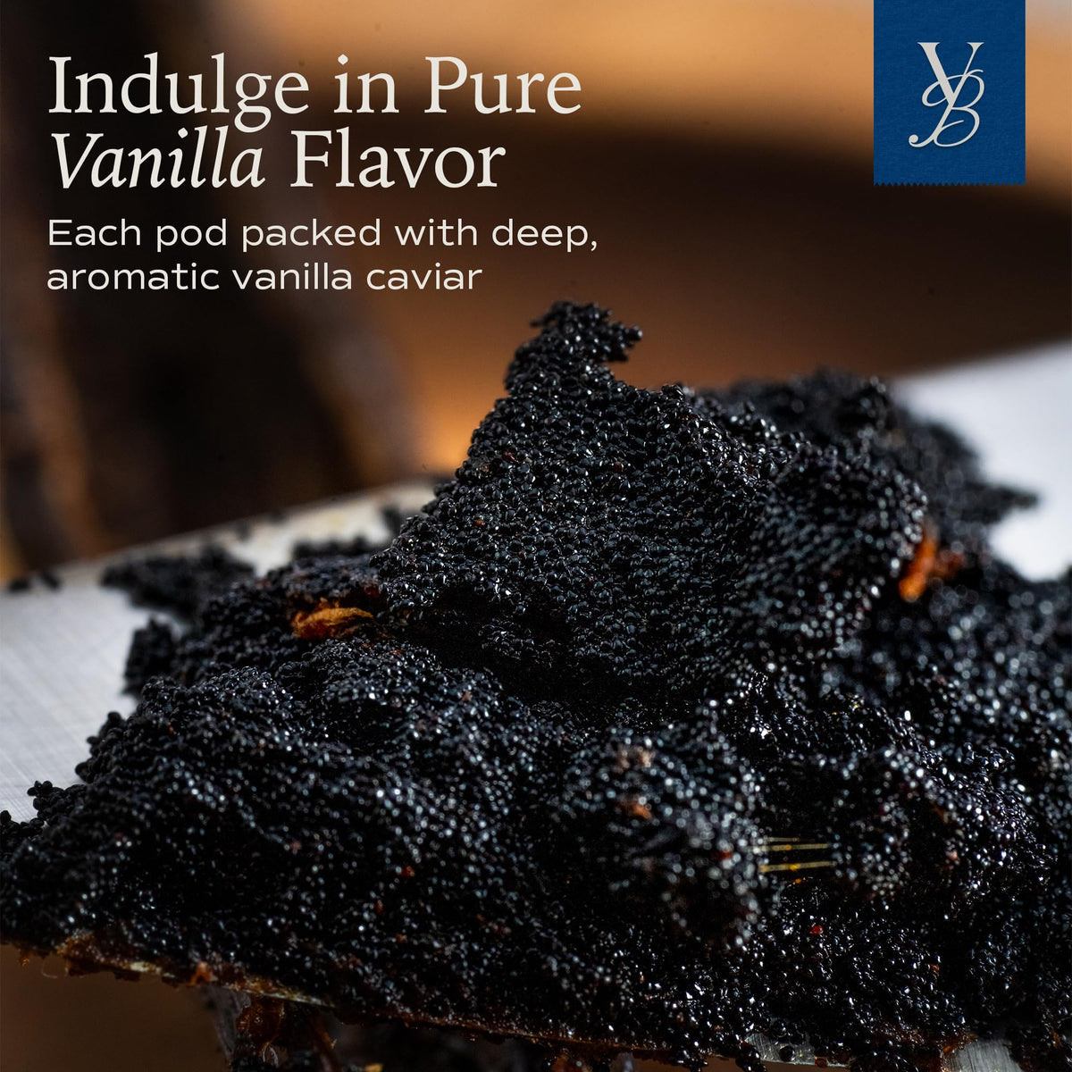 VanillaBros 55 Madagascar Vanilla Beans Grade A – Gourmet Bourbon Vanilla Pods (6.3–8.3 in) for Baking & Homemade Extract