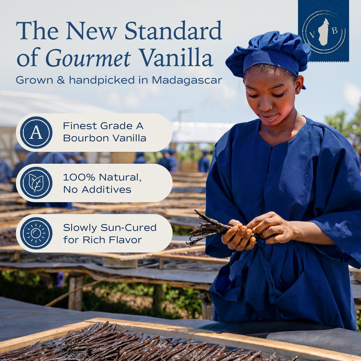 VanillaBros 55 Madagascar Vanilla Beans Grade A – Gourmet Bourbon Vanilla Pods (6.3–8.3 in) for Baking & Homemade Extract