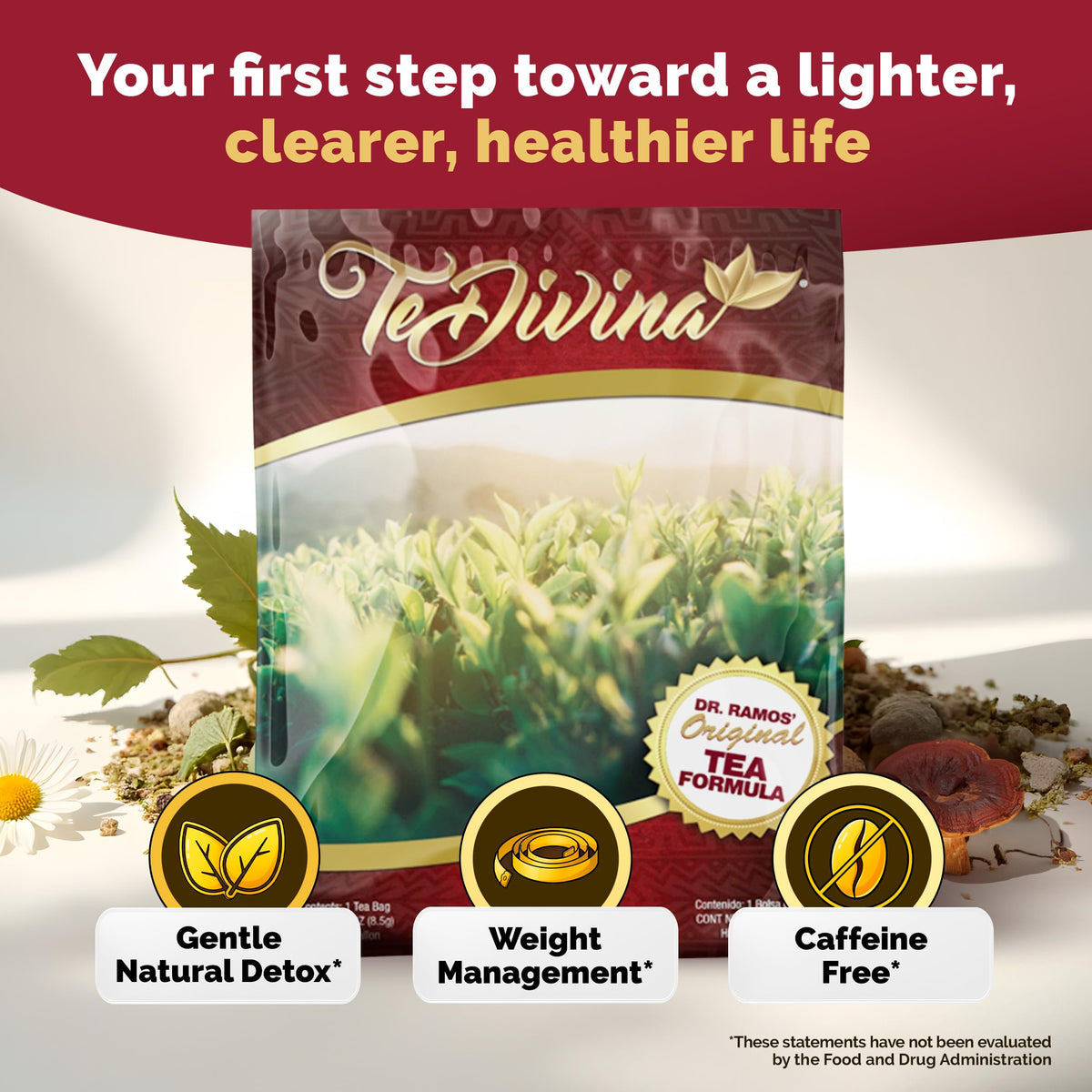 TeDivina Plant-Based Cleansing Formula – Caffeine-Free Wellness Tea by Vida Divina (0.3oz, Pack of 1)