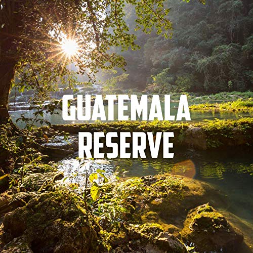 Volcanica Coffee Guatemala Antigua Reserve Dark Roast Whole Bean 16oz