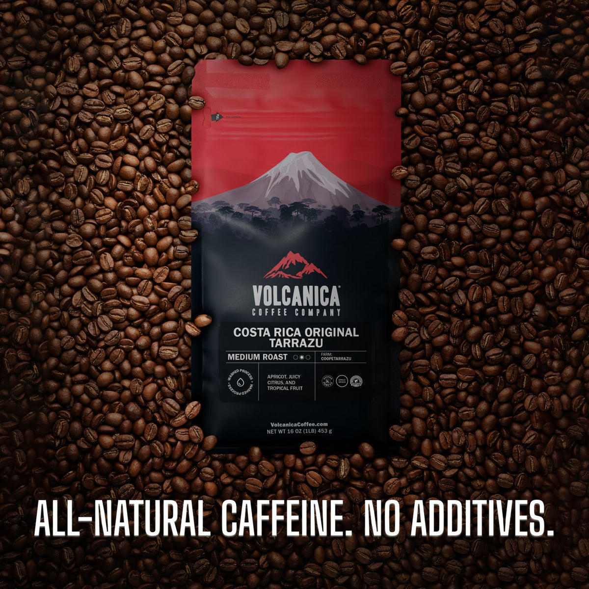 Volcanica Coffee: Sumatra Mandheling Reserve Dark Roast, Organic, Fair Trade & Kosher, 16 oz