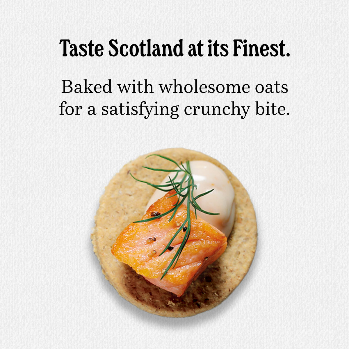Walkers Highland Oat Crackers – Traditional Scottish Oat Crackers, 9.9 oz Box (Pack of 6)