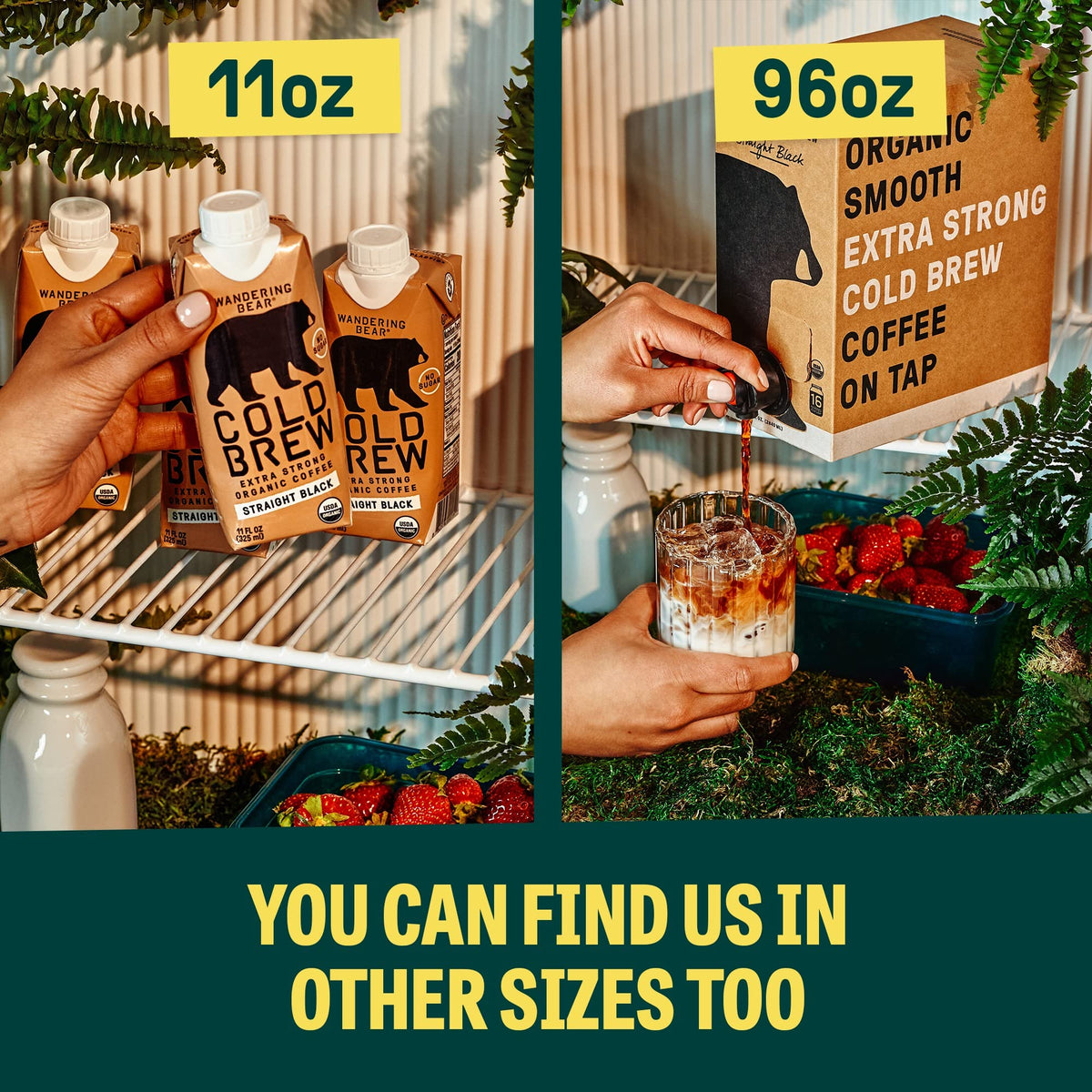 Wandering Bear Straight Black Organic Cold Brew Coffee — Extra Strong, Unsweetened, 32 oz Carton (3 Pack)