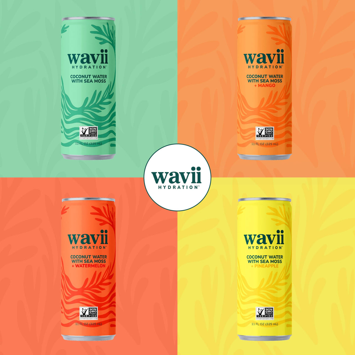Wavii Coconut Water with Sea Moss + Pineapple – 12 Pack, 11 oz | Clean Hydration with Electrolytes, No Added Sugar