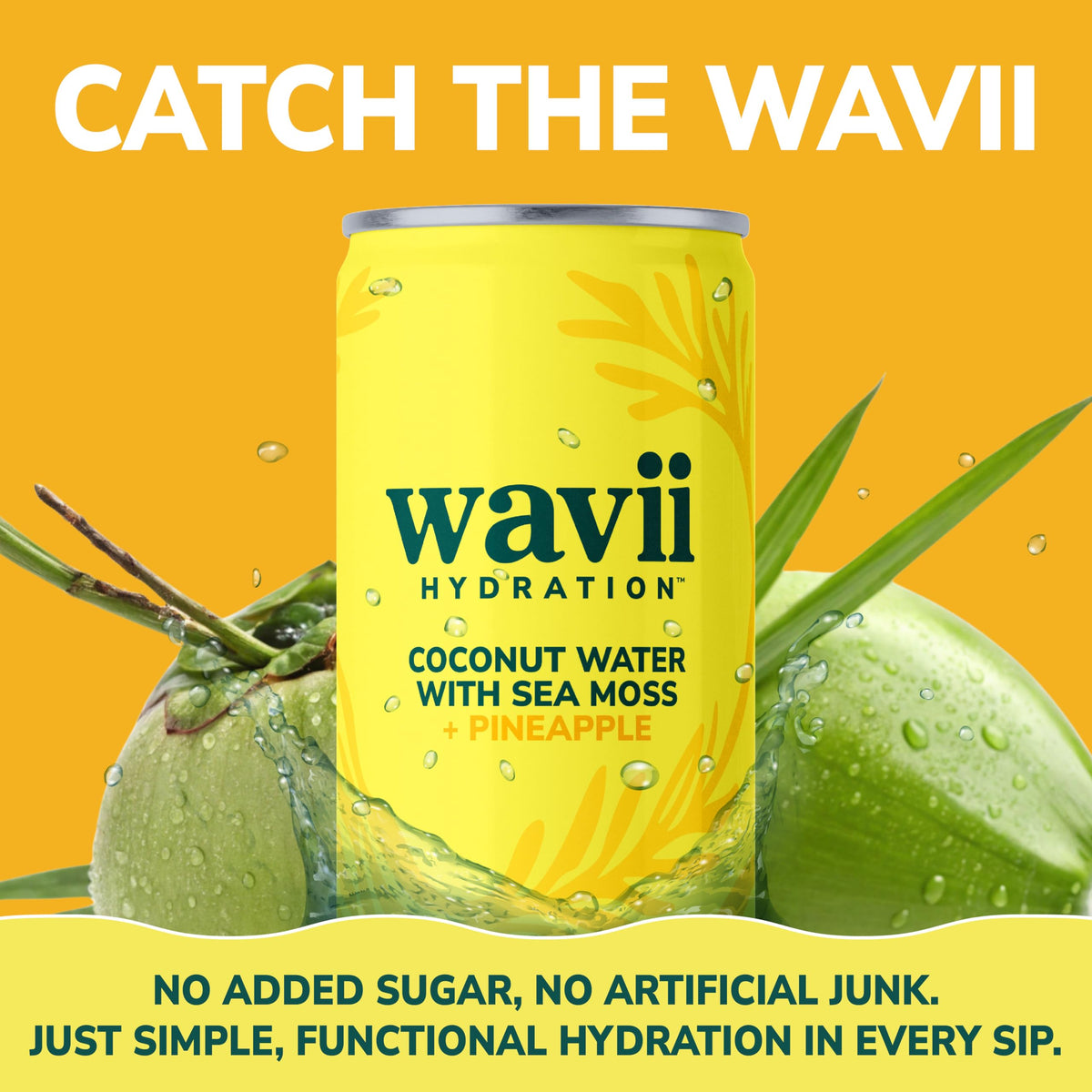 Wavii Coconut Water with Sea Moss + Pineapple – 12 Pack, 11 oz | Clean Hydration with Electrolytes, No Added Sugar