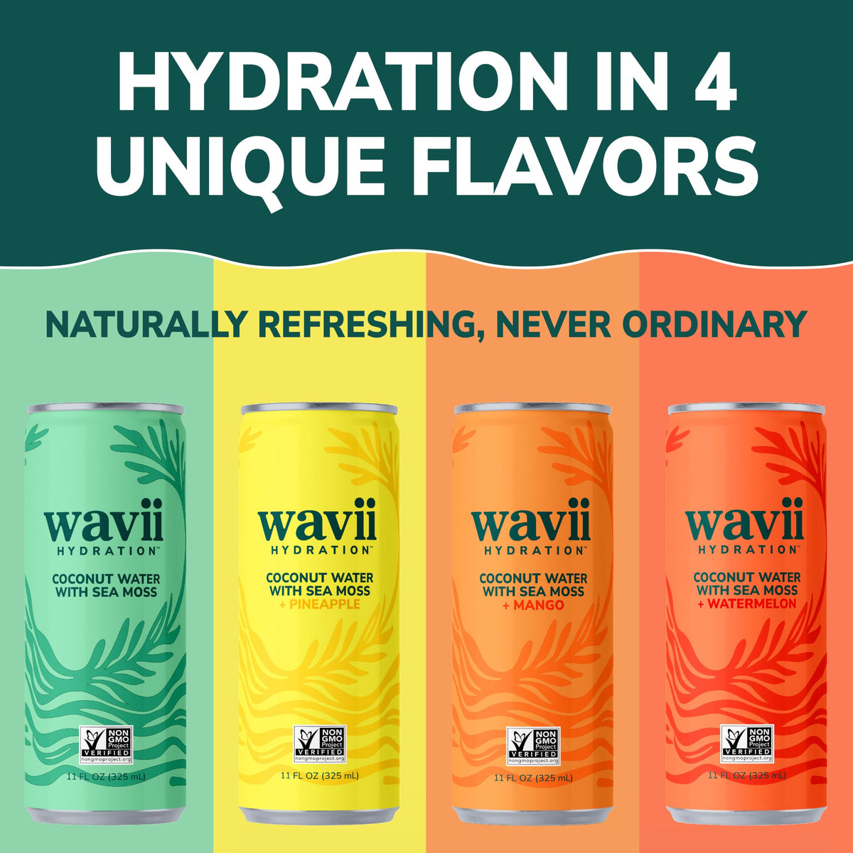 Wavii Coconut Water with Sea Moss – 12-pack, 11 fl oz | Clean Hydration