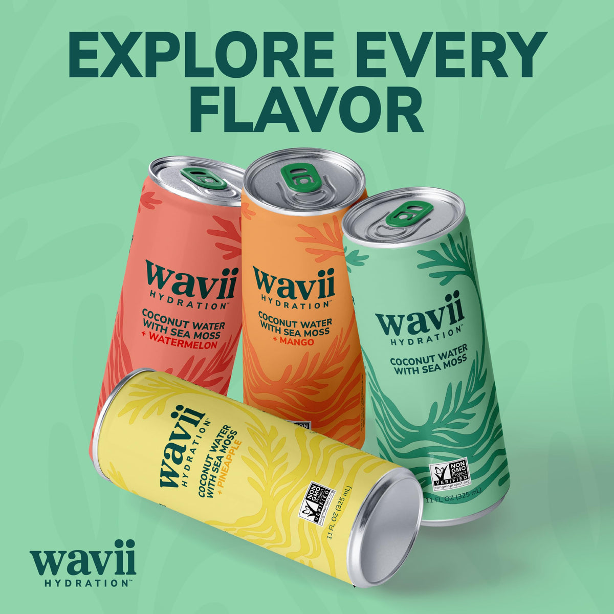 Wavii Coconut Water with Sea Moss + Mango, 12 Pack – Clean Hydration with Electrolytes & Ocean-Derived Minerals