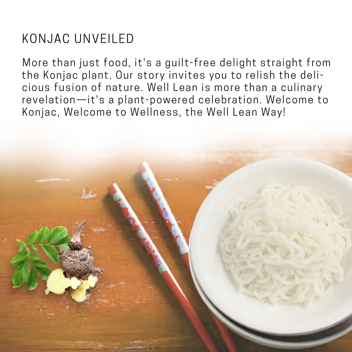 Well Lean Organic Konjac Shirataki Noodles – Zero Carb, Keto Pasta, 6 Pack (12 Servings)
