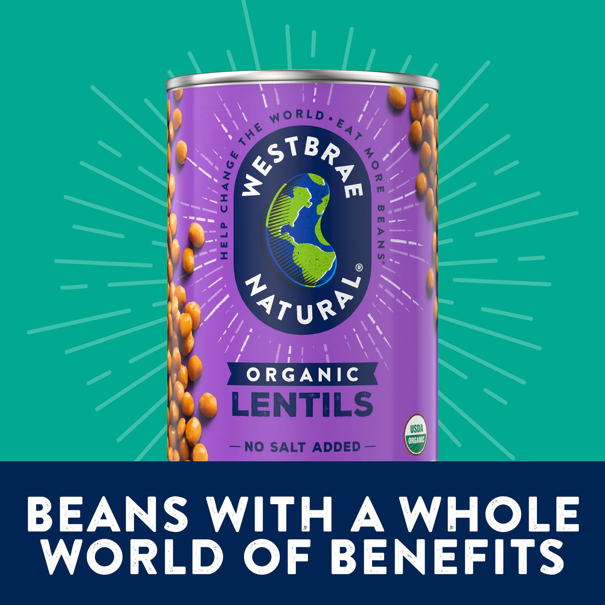 Westbrae Natural Organic Lentils - No Salt Added, 15 oz (Pack of 12) | Plant-Based Protein & Fiber