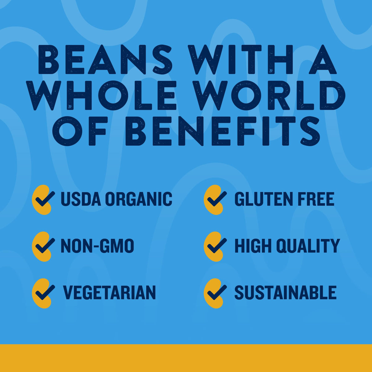 Westbrae Natural Organic Lentils - No Salt Added, 15 oz (Pack of 12) | Plant-Based Protein & Fiber