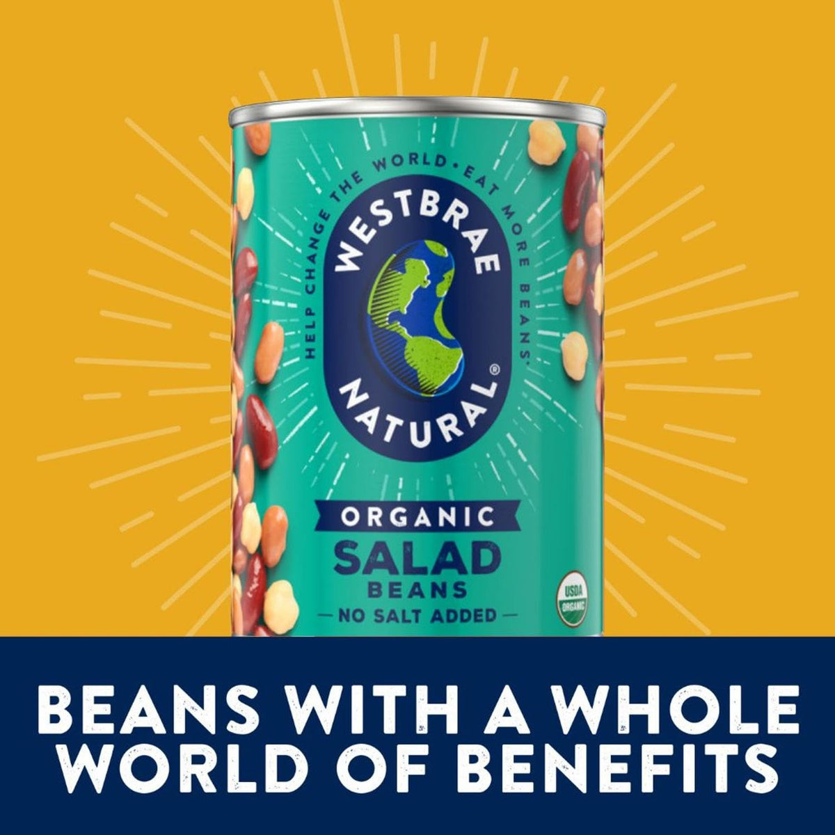 Westbrae Natural Organic Salad Beans — 15 oz, No Salt Added, Pack of 12, Gluten Free, Plant-Based Protein & Fiber