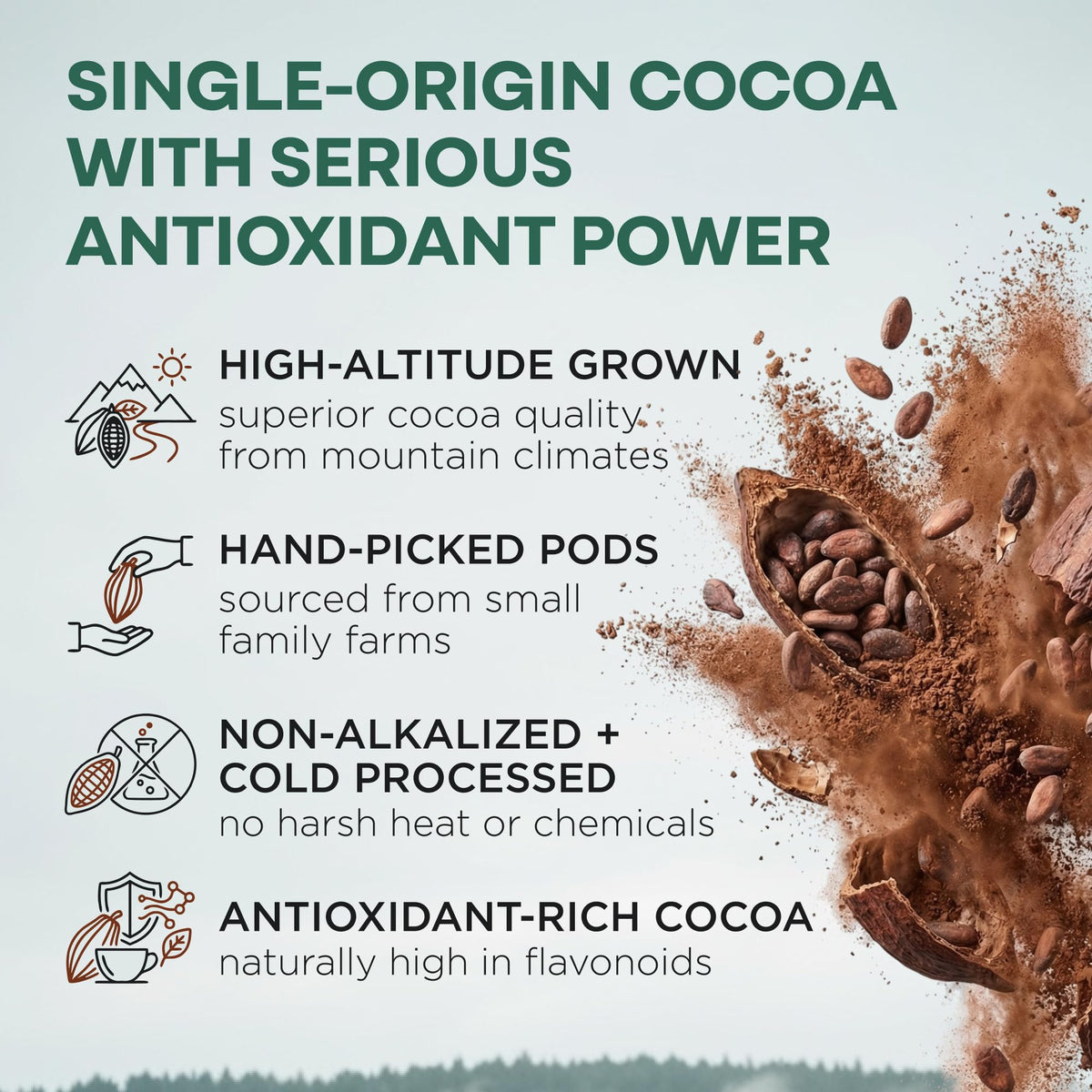 Wild Foods Raw Organic Cacao Powder — Handcrafted, Single-Origin Peru, Fair Trade, Non-Alkalized (24 oz)