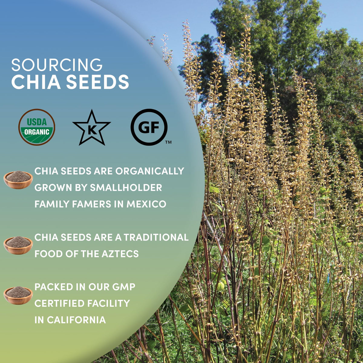 Worldwide Botanicals Organic Ground Chia Seeds – 2 x 1 lb, Gluten-Free & Vegan