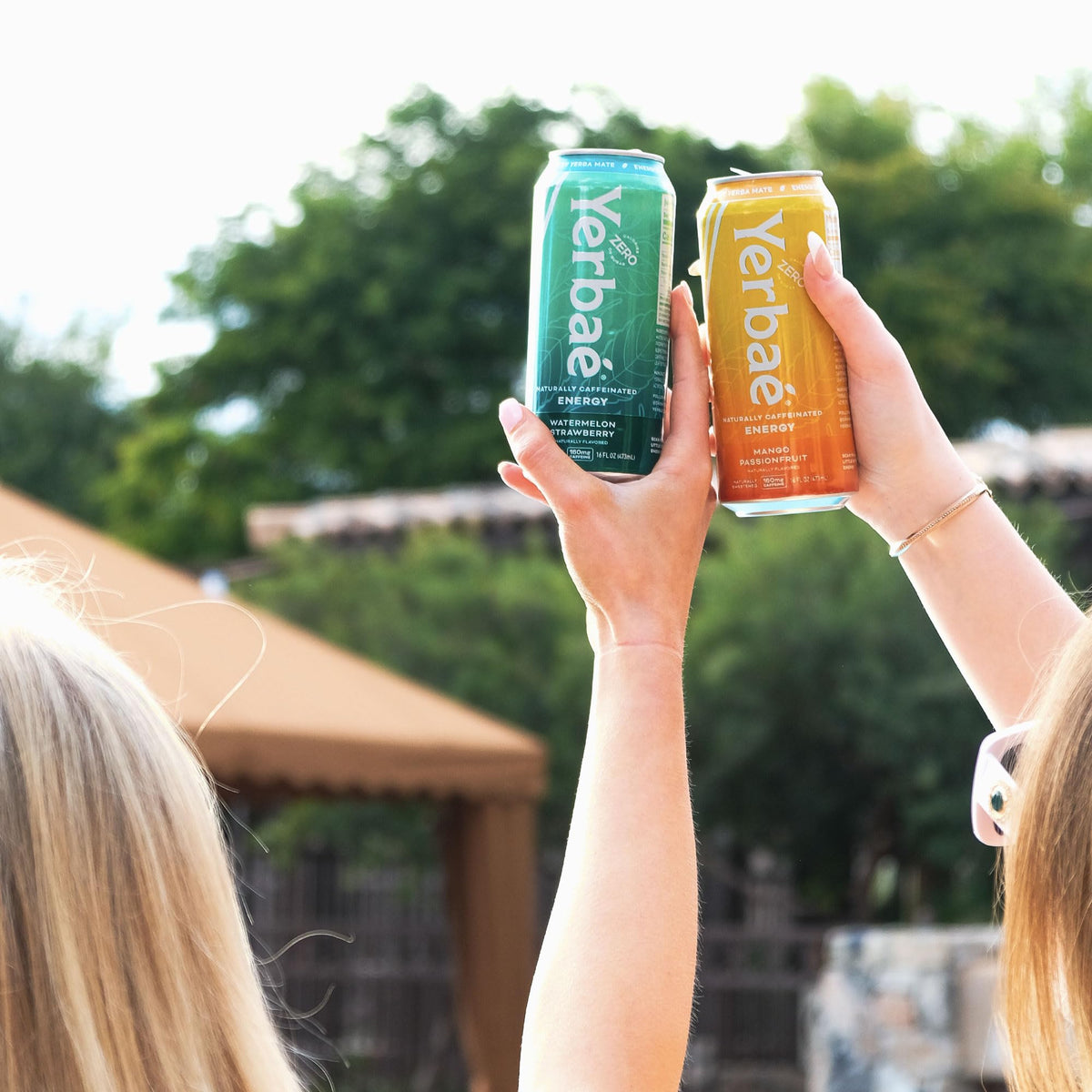 Yerbaé Assorted Flavors – Plant-Based Energy Drinks | Zero Sugar, Zero Calories, Zero Carbs | 16 Fl Oz (Pack of 12)