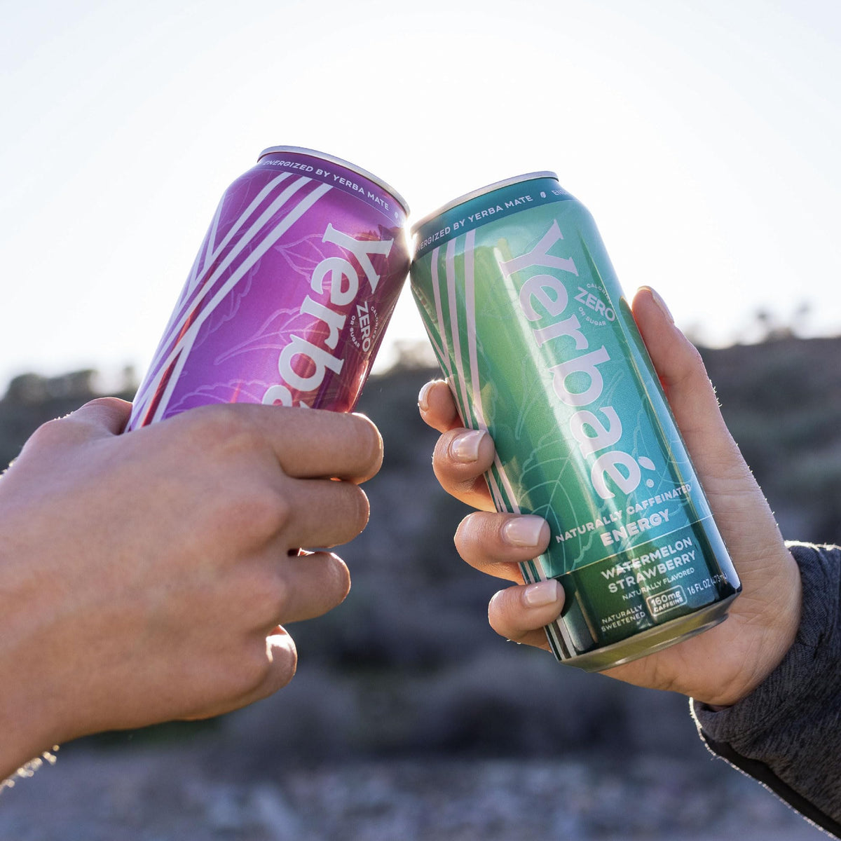 Yerbaé Energy Beverage Variety Power Pack – 0 Sugar, 0 Calories, 0 Carbs | 16oz Cans