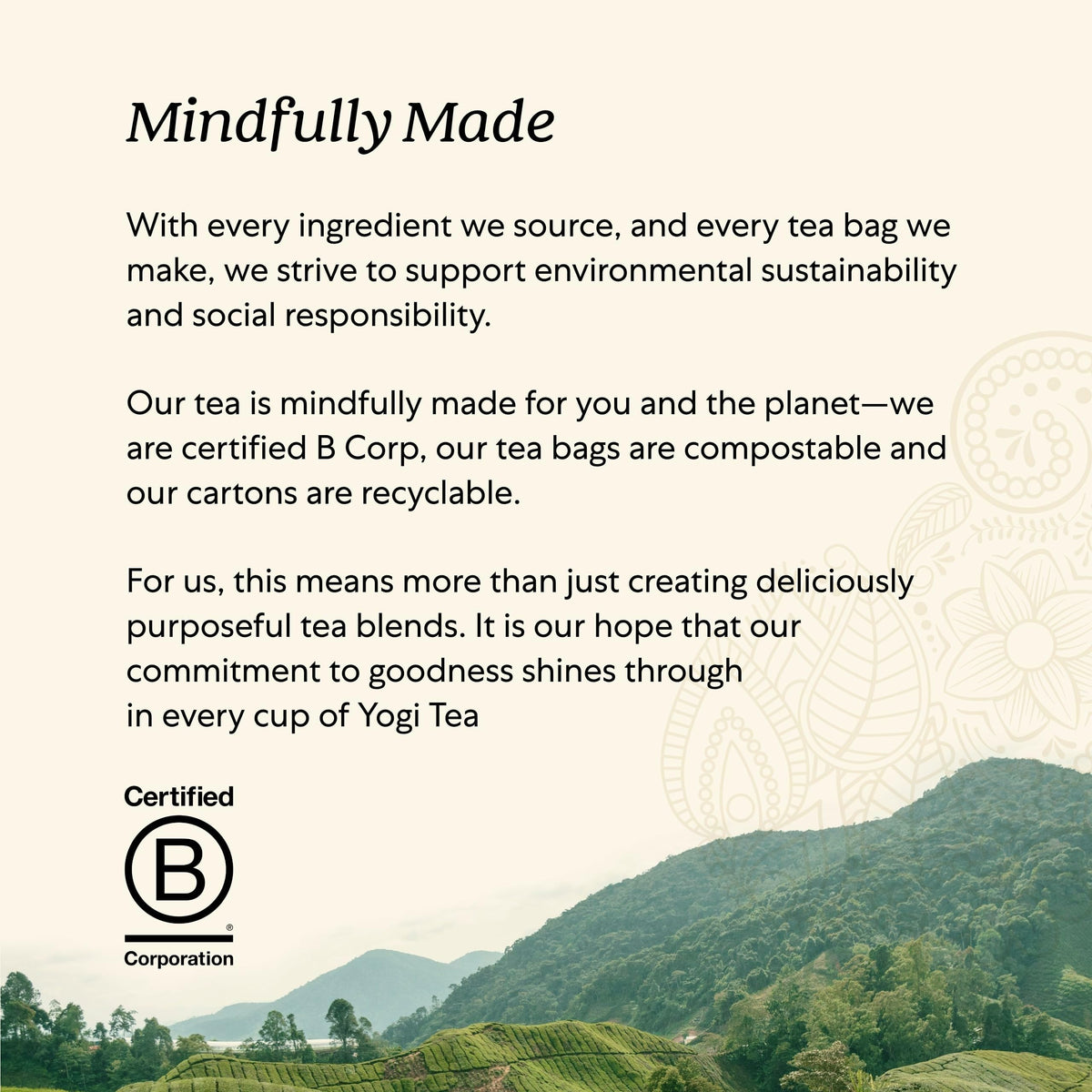 Yogi Spiced Blackberry Focus Tea – Pack of 6 (16 Bags Each), Vegan, Organic & Non-GMO