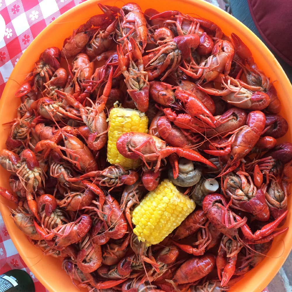 Zatarain's Crawfish, Shrimp & Crab Boil – 4.5 lb Pack of 6 | New Orleans Seafood Spice
