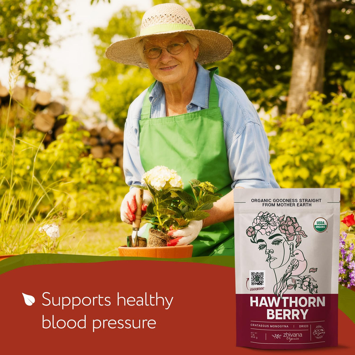 Zhivana Organics Hawthorn Berry Tea Organic (32oz) – Hawthorn Berries for Tea, Tinctures & Recipes