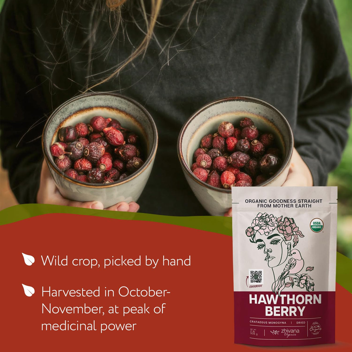 Zhivana Organics Hawthorn Berry Tea Organic (32oz) – Hawthorn Berries for Tea, Tinctures & Recipes